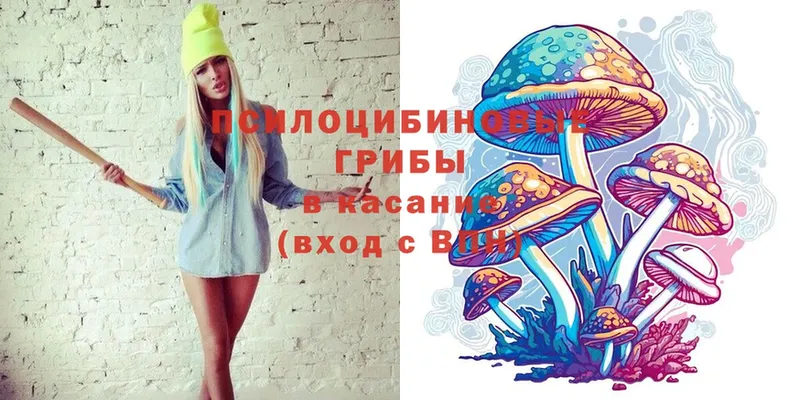 ссылка на мегу ссылки  нарко площадка состав  Галлюциногенные грибы MAGIC MUSHROOMS  Каменка 